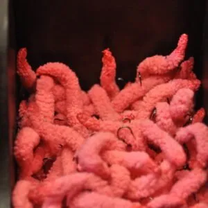 Mega Worm - Fl. Pink